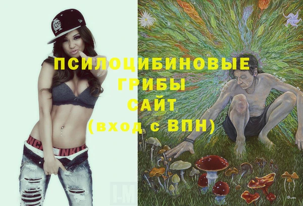 ALPHA-PVP Арсеньев