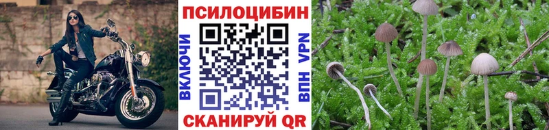 Галлюциногенные грибы Magic Shrooms  Купить  Щёлкино 
