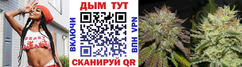 Купить  Щёлкино  Марихуана OG Kush 